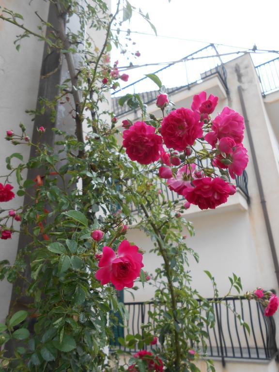 Canton Delle Rose Apartment Шикли Екстериор снимка